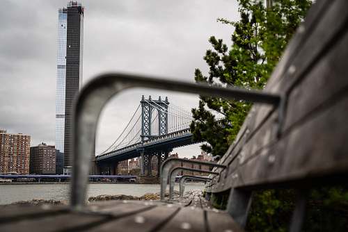 dumbo green plant beside bench new york city