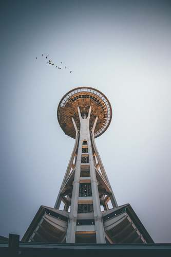 tower landscape photography of tower space needle loop