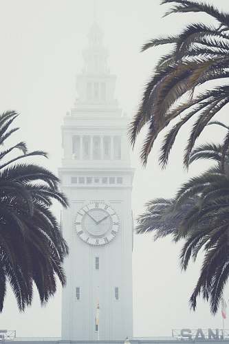 grey w palm trees in front of clock tower united states