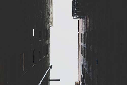 city worm's eye view of two high rise buildings grey