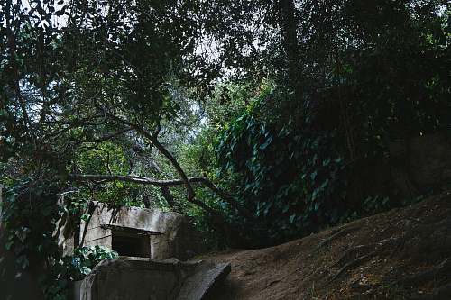 building green and brown trees griffith park zoo