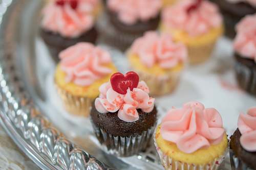 dessert shallow focus photography of cupcakes cupcake