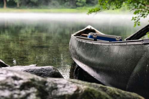 boat focus photo of gray and black canoe on body of water under green leaf tree rowboat