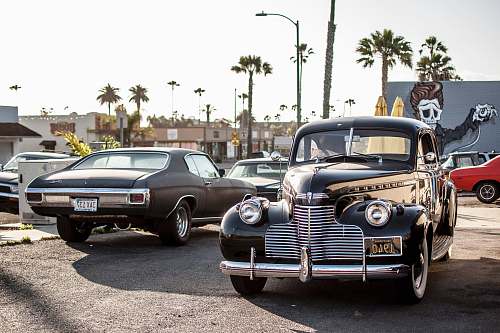 automobile black car beside car during daytime vehicle