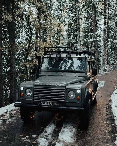 automobile vehicle surround with trees jeep