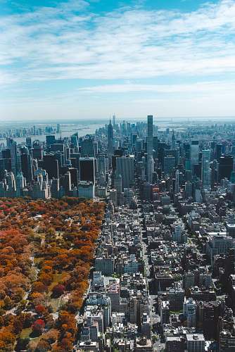 building birdseye photo of city aerial view