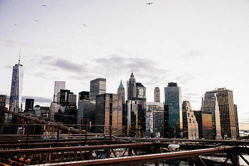 road New York City during daytime new york