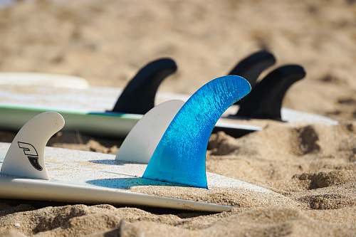 flip-flop closeup photo of two white surfboards on sand footwear
