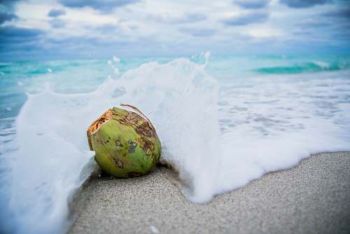 food coconut on beach with waves nut