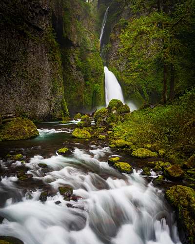 outdoors  stream