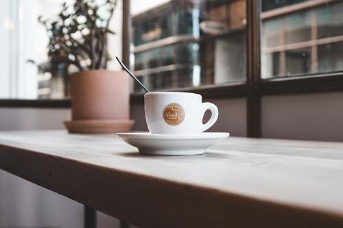 plant cup with saucer on table coffee cup