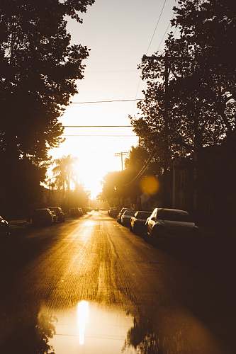 light silhouette photo of car parked under trees west hollywood