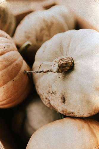 food orange squash lot garlic