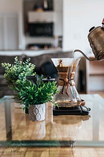 plant person pouring coffee ion jar coffee