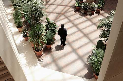 plant person standing on plants jar