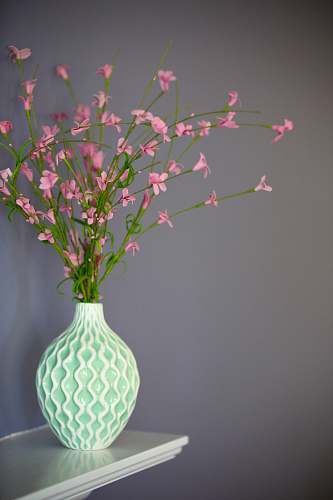 blossom pink petaled flowers on green vase vase