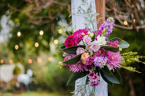 wedding shallow focus photo of pink and purple flowers flower bouquet