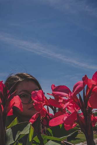 plant woman standing on the red petaled flower geranium