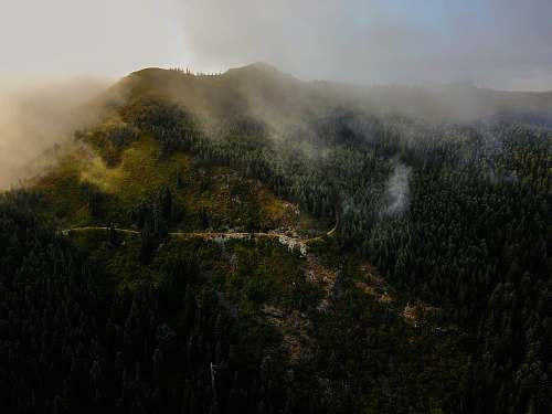 mist green trees mountain taken at daytime nature