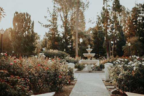 sacramento garden with outdoor fountain path
