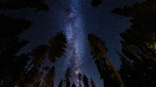 night low angle photography of stars at night astrophotography