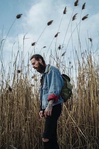 plant man in blue and gray hoodie standing on green grass field during daytime lawn