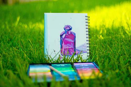 plant purple bottle paint text