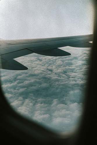 aircraft  airplane