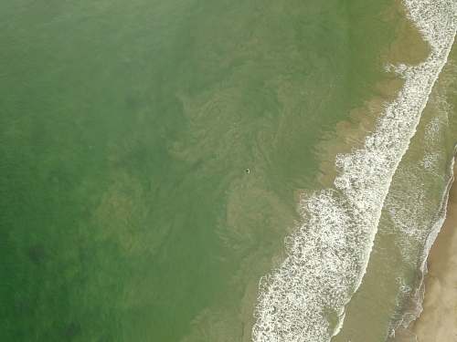 sea aerial photography of sea waves water