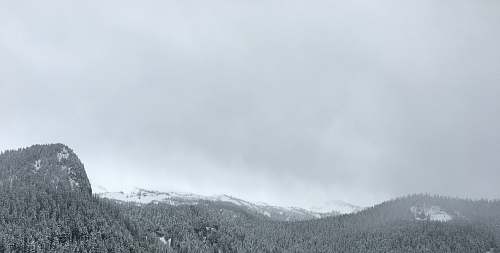 mountain grayscale photo of trees in front of mountain alps alps
