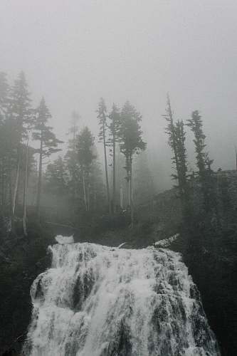 black-and-white grayscale photo of waterfall near tree tree