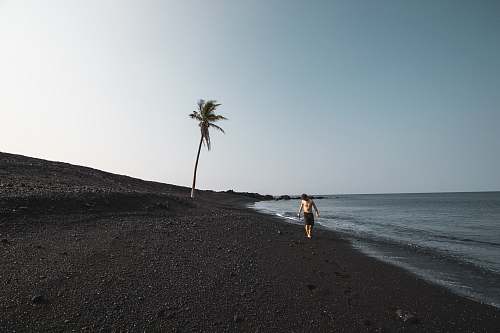 hawaii men's black shorts beach