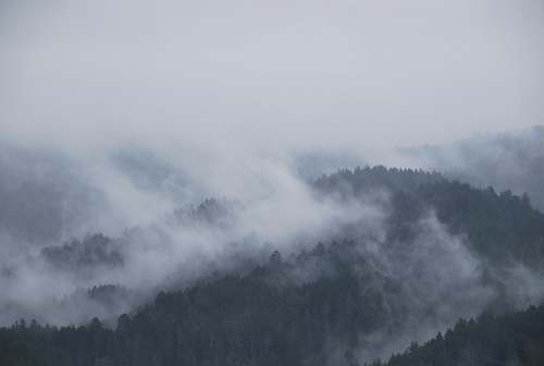 fog mountain covered with fogs mist