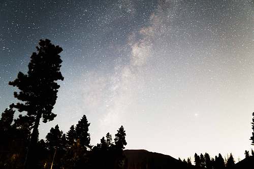 night silhouette of trees over sky with clouds astronomy