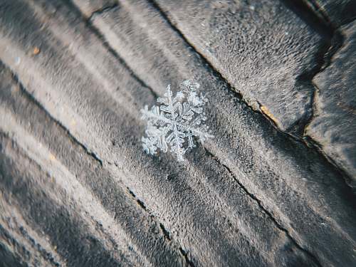 snowflake silver snowflake on gray wooden surface newport