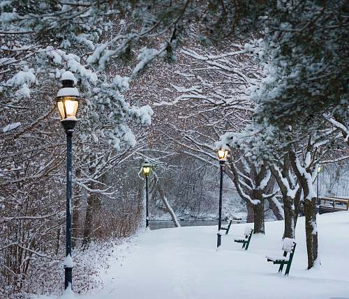 winter streetlight glowing on daytime snow