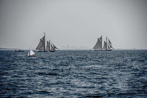 sailboat three white sailing boats on body of water transportation