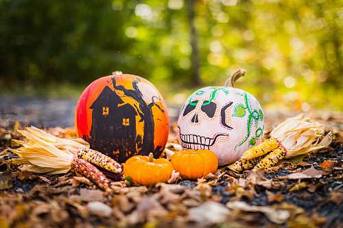 workiva white and black fruit decors ames