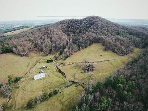 nature aerial photograph of a forest outdoors