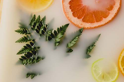fern closeup photo of slice orange fruit
