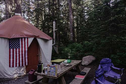 camping dome tent on forest leisure activities