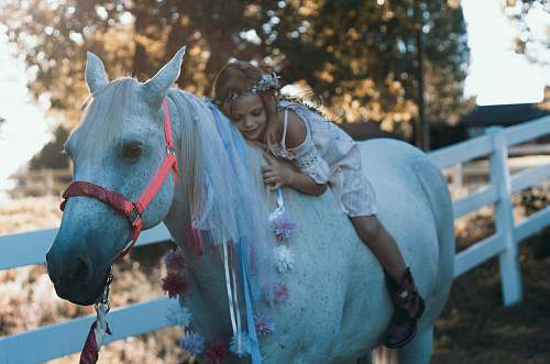 person girl riding white horse during daytime horse