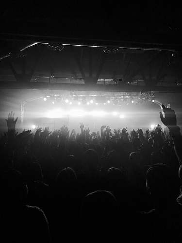 black-and-white grayscale photo of people raising hands crowd