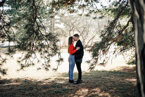 people man and woman kissing underneath the tree person