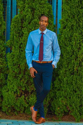 person man in blue dress shirt and pants near green leafed plants people