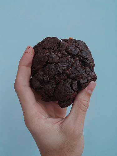 person person holding a brown round ornament new york