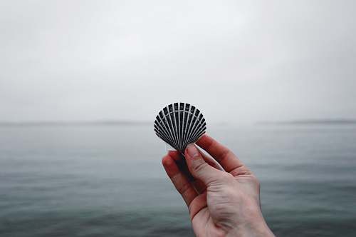 person person holding black seashell people