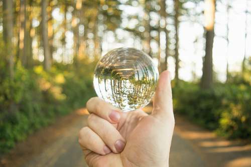 person person holding clear glass ball sphere