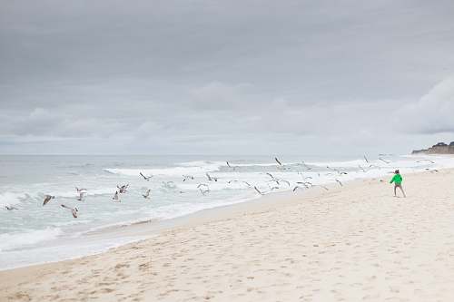 person person standing on sand shore near flying birds grey