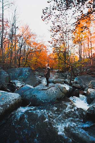 person person standing on top of rock in between waterfall during daytime plant